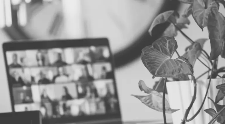 A black and white photograph featuring a laptop screen displaying multiple images, possibly of architectural structures or engineering designs. In the foreground, there is a potted plant with prominent leaves, adding an organic contrast to the technological theme. This image could represent the blend of nature and technology in modern structural engineering